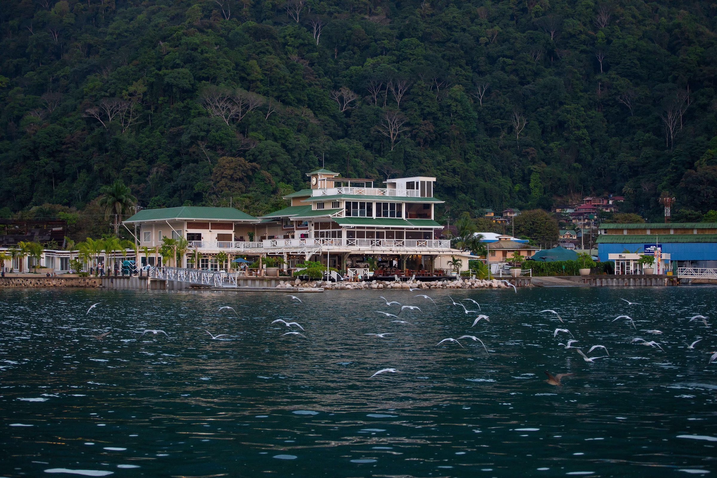 Marina Bahia Golfito Costa Rica waterfront marina hospitality scene with yachts and palms